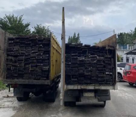 Dua Truk Diamankan di Pelalawan, Bawa Kayu Ilegal Asal Kawasan Konservasi