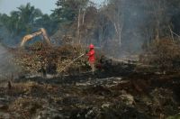 Ilustrasi hotspot di Riau masih belum sirna (foto/int)