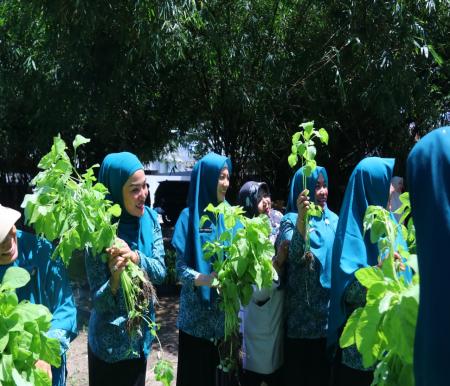 TP PKK Pekanbaru bagikan hasil segar ke warga (foto/dini)