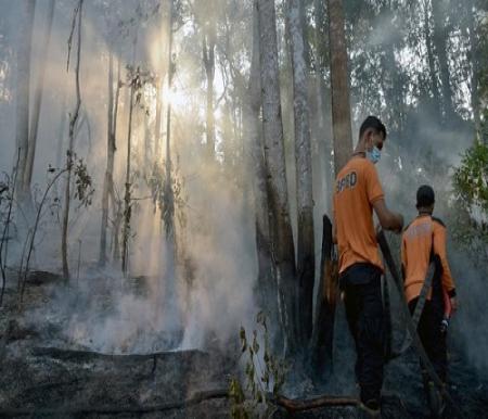 Titik panas di Riau hari ini.(ilustrasi/int)