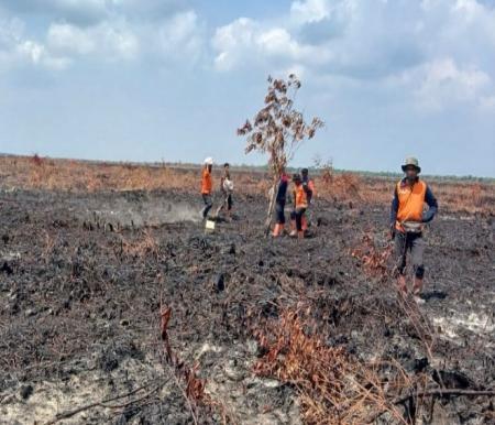 Karhutla di Riau mulai mengkhawatirkan (foto/rivo)
