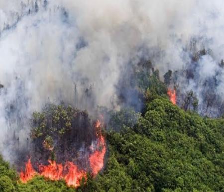 Sebaran titik panas di Riau meningkat hari ini.(ilustrasi/int)