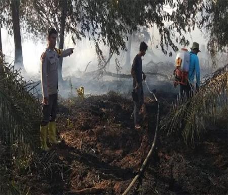 Proses pemadaman Karhutla di Siak.(foto: riaupos.co)