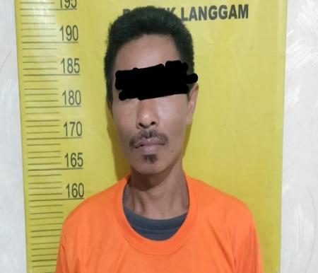 Pelaku pencuri sawit saat diamankan di Mapolsek Langgam.(foto: andi/halloriau.com)