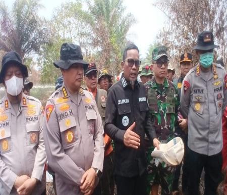 Sinergi TNI-Polri dan Pemda, penanganan Karhutla di Pelalawan terkendali (foto/int)