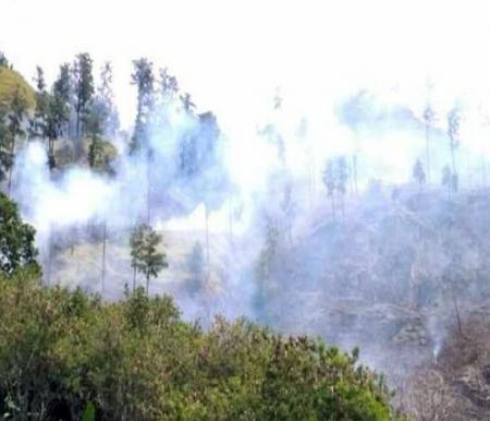 Sebaran titik panas di Sumatera.(ilustrasi/int)