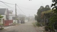 Ilustrasi kualitas udara di Pekanbaru masih tidak sehat (foto/int)