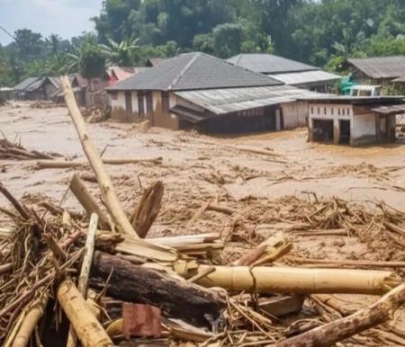 Batang-batang pohon terseret banjir saat bencana di Sumatera. Foto Int