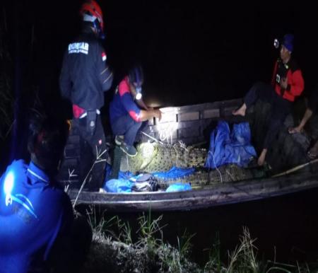 Populasi buaya di Sungai Indragiri meningkat (foto/MCR)
