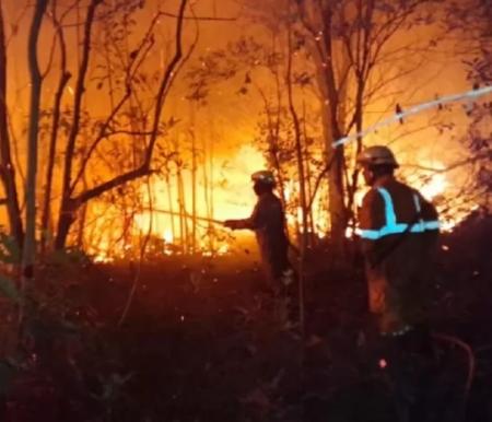 BNPB mencatat total luasan Karhutla di Riau mencapai 2.713,26 hektare dalam kurun waktu tiga bulan terakhir, terhitung sejak 1 Januari hingga 24 Maret 2026. Foto/BNPB