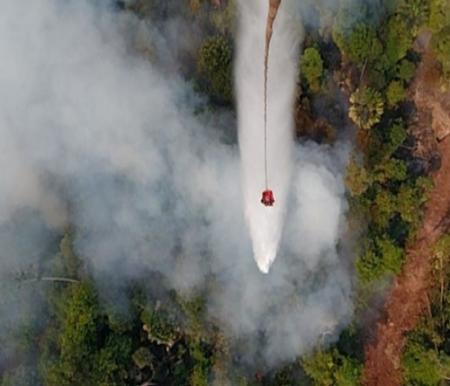 Ilustrasi Bengkalis dan Pelalawan merupakan wilayah di Riau yang terparah terjadi Karhutla (foto/int)