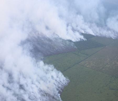 Ilustrasi Karhutla masih mengancam Riau, khususnya di wilayah gambut (foto/int)