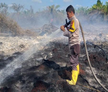 Riau tetapkan Siaga Darurat Karhutla hingga November 2026 (foto/ist)
