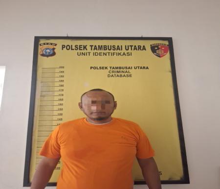 Pelaku penipuan masuk polisi telah ditahan di Polsek Tambusai Utara (rri)