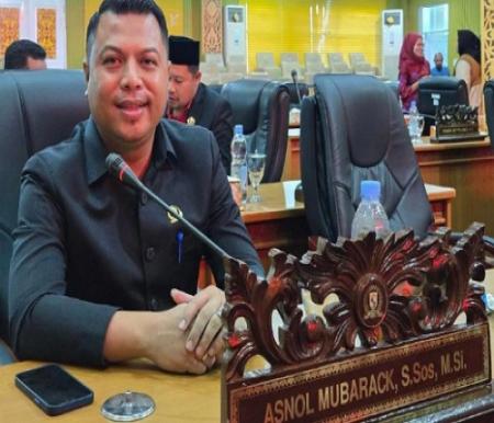 Ketua Fraksi Demokrat-Nasdem DPRD Pelalawan, Asnol Mubarack.(foto: andi/halloriau.com)