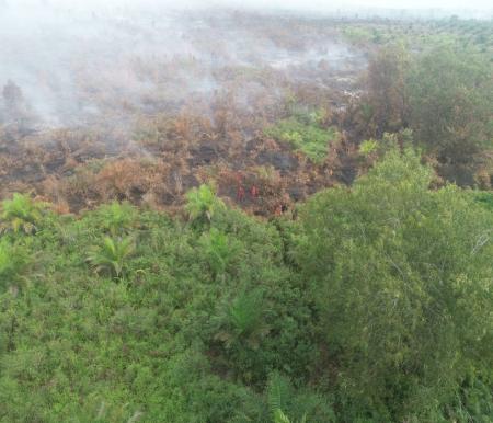 Satgas Karhutla Lakukan Pemadaman Api di Rupat Utara, Dumai Kota, dan Pelalawan
