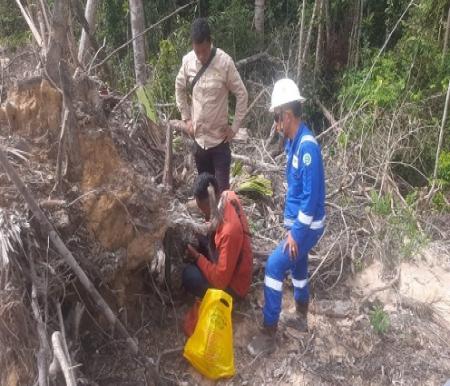 BBKSDA Riau selidiki jejak harimau sumatera di kawasan PHR Minas.(foto: mcr)