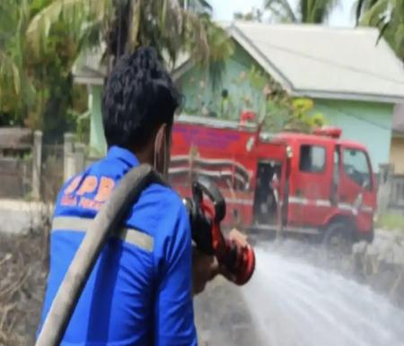 Ilustrasi Kecamatan Payung Sekaki paling banyak terbakar lahan awal 2026 (foto/tribun)
