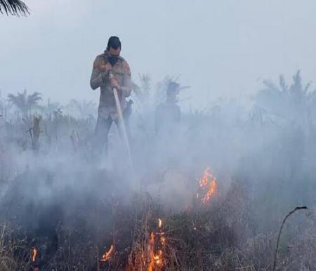 Ilustrasi. (Foto: int)