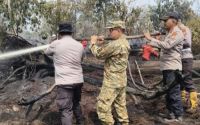 Karhutla terus menguji Pelalawan, 245 personel dikerahkan tangani titik api.(foto: andi/halloriau.com)