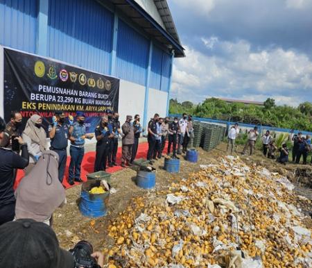 Bea Cukai Musnahkan Mangga Ilegal asal Malaysia dengan cara di timbun di halaman belakang kantor BC Dumai, Kamis (22/5/2025). (Foto: Bambang)