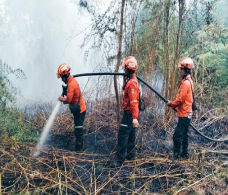 Sebaran titik panas di Riau.(ilustrasi/int)