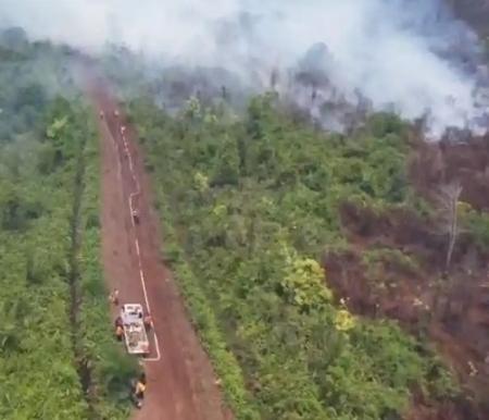 Karhutla kembali terjadi di Jalan Niaga, Desa Rimbo Panjang, Kecamatan Tambang, Kabupaten Kampar, Senin (9/3/2026).