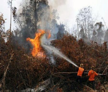 Pemadaman karhutla di Teluk Meranti, Pelalawan masih berlangsung.(ilustrasi/int)