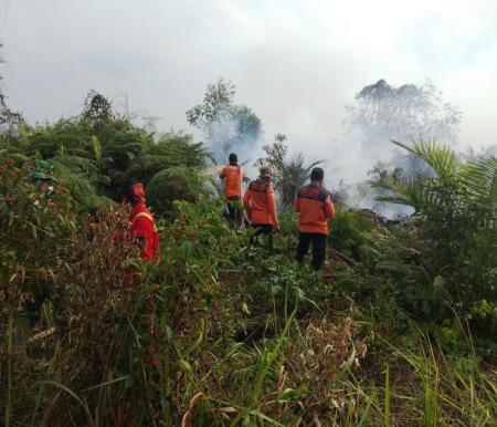 Tim gabungan berjibaku padamkan Karhutla di Pulau Mendol, Pelalawan (foto/ist)