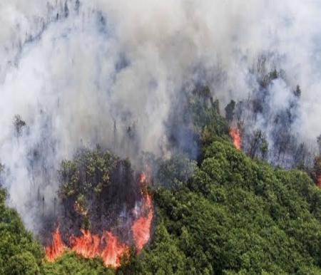 Sebaran titik panas di Riau hari ini.(ilustrasi/int)