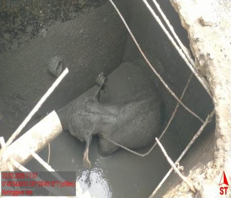 Anak terjebak septic tank, penyebab 11 gajah mengamuk di Siak (foto/ist)