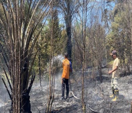 Ilustrasi Karhutla di Riau masih terjadi di sejumlah daerah (foto/int)