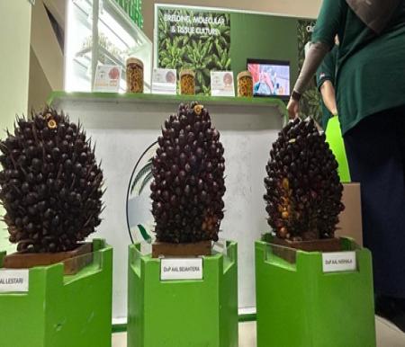 Astra Agro perkuat produktivitas dan keberlanjutan sawit lewat teknologi dan riset terpadu (foto/ist)