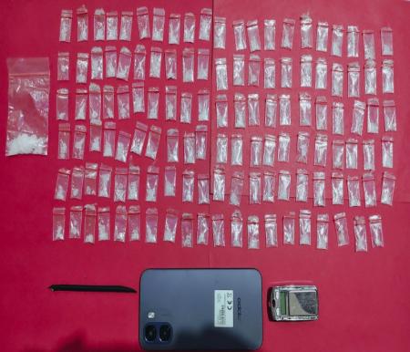 Sat Reskrim Narkoba Polres Pelalawan menggagalkan peredaran 126 paket sabu di Sei Kijang (foto/Andy)