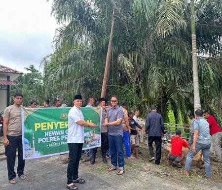 Polres Pelalawan menyalurkan 12 ekor sapi ke Masjid Al-Falah Desa Kualo dan di Mapolres Pelalawan untuk kemudian dibagikan kepada masyarakat sekitar. (Foto: Andy Indrayanto)